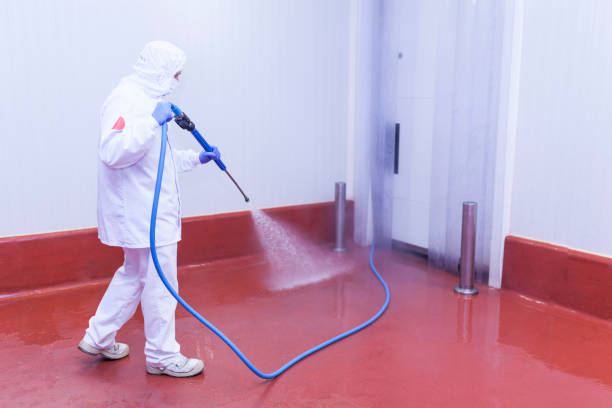 Best Roof Cleaning and Mildew Removal in Oak Park Heights, MN
